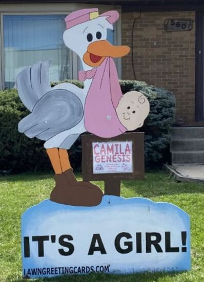 Birth Announcement Yard Signs from LawnGreetingCards.com